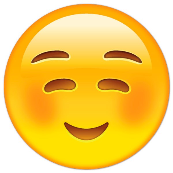 Wall Stickers Smiley Face embarrassed
