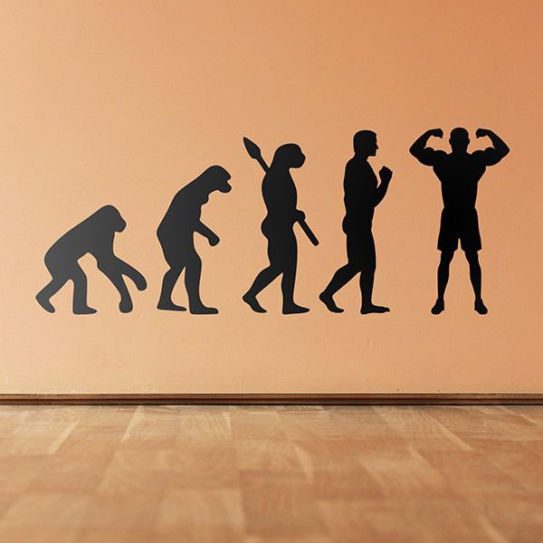 Wall Stickers: Bodybuilding evolution