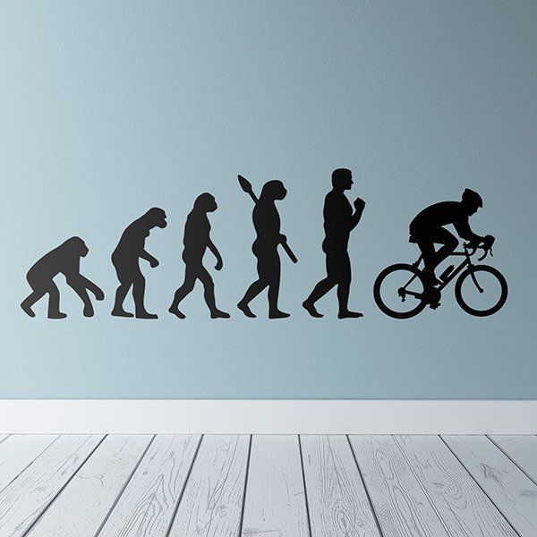 Wall Stickers: Cycling evolution