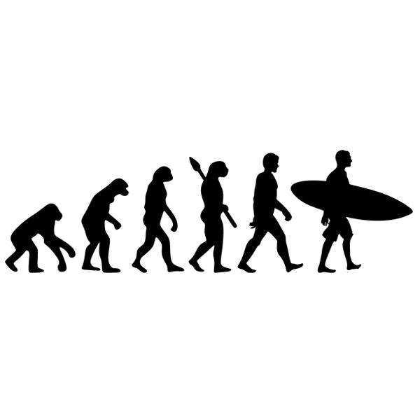 Wall Stickers: Surf evolution
