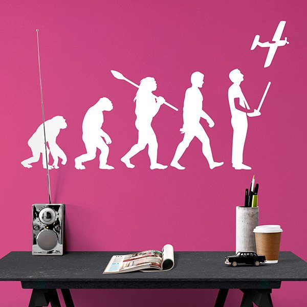 Wall Stickers: RC Aircraft evolution