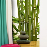 Wall Murals: Bamboo and stones 3