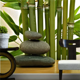 Wall Murals: Bamboo and stones 4