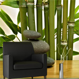 Wall Murals: Bamboo and stones 5