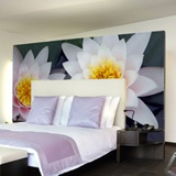 Wall Murals: Lotus Flowers 4