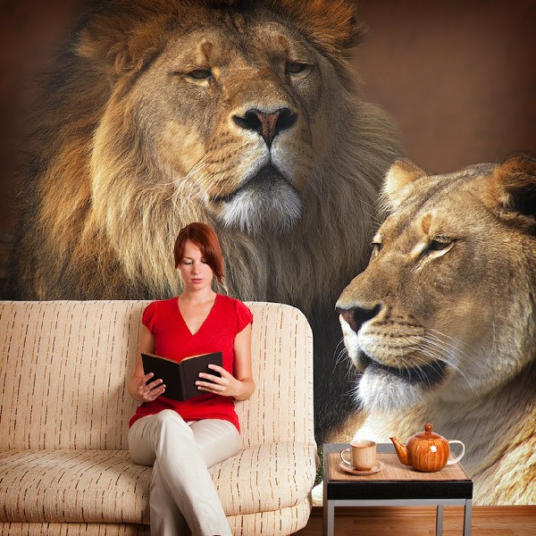 Wall Murals: Lion and  lioness 0
