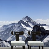 Wall Murals: Jungfrau 2