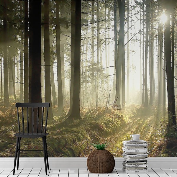 Wall Murals: Mysterious forest