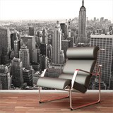 Wall Murals: Aerial view of New York 2