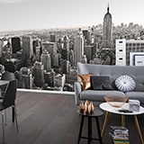 Wall Murals: Aerial view of New York 3