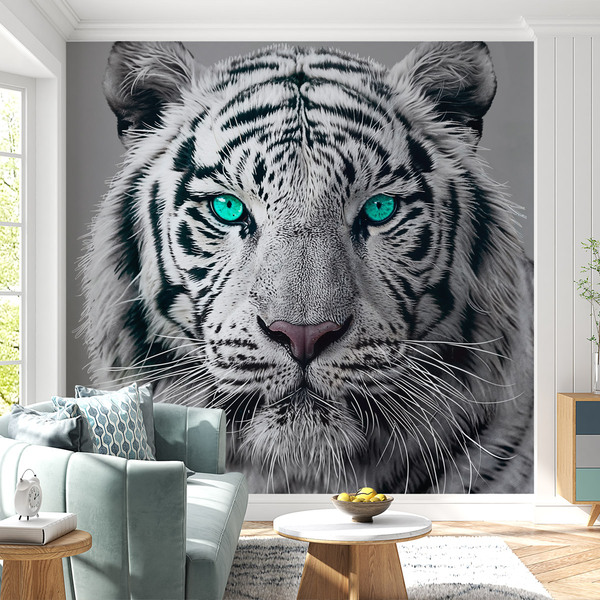 Wall Murals: White Tiger 0