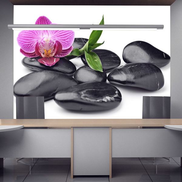Wall Murals: Orchid with stones 0