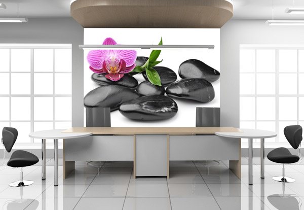 Wall Murals: Orchid with stones