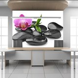 Wall Murals: Orchid with stones 2