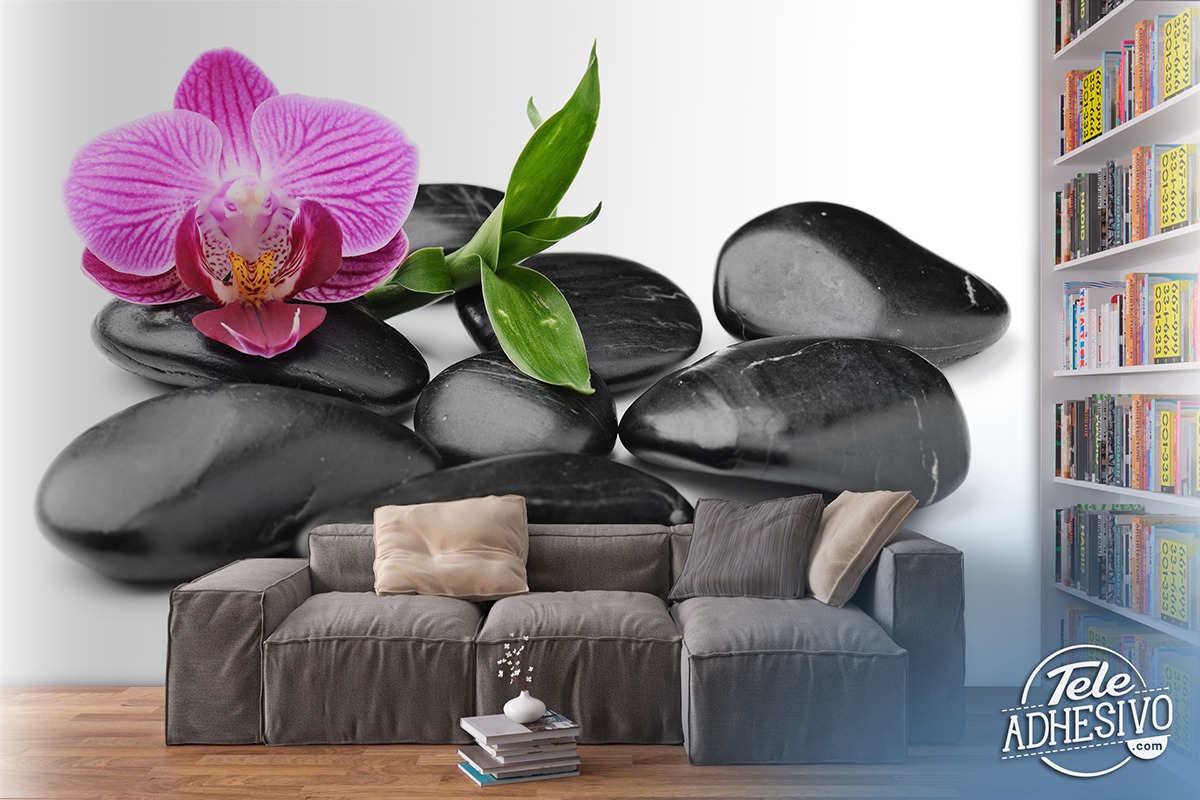 Wall Murals: Orchid with stones