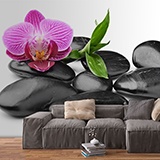 Wall Murals: Orchid with stones 3