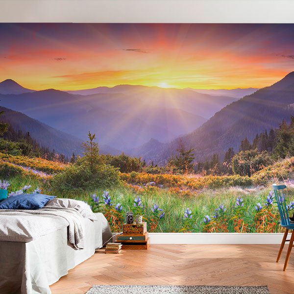 Wall Murals: Sunset Country 0