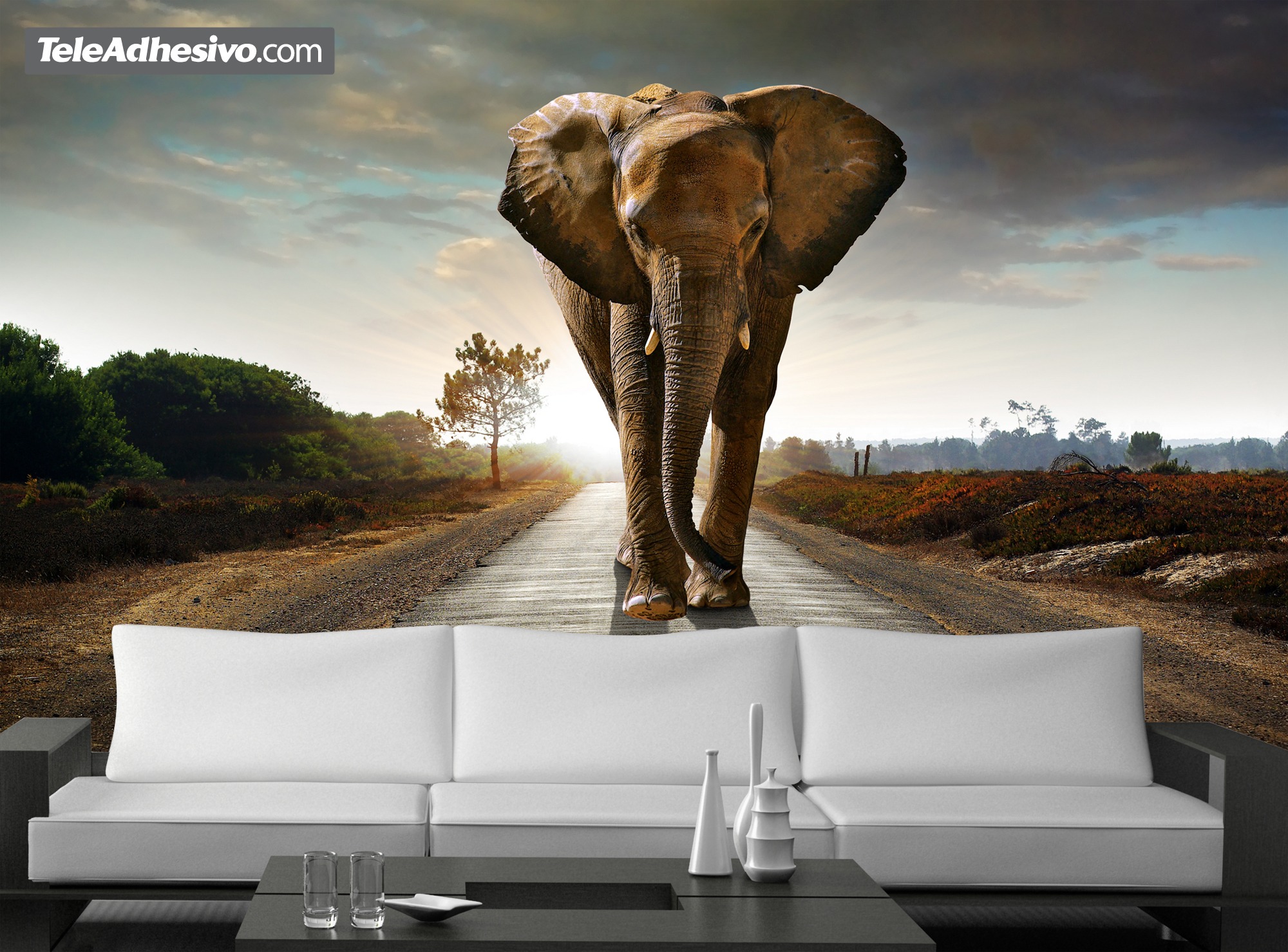 Wall Murals: Elephant