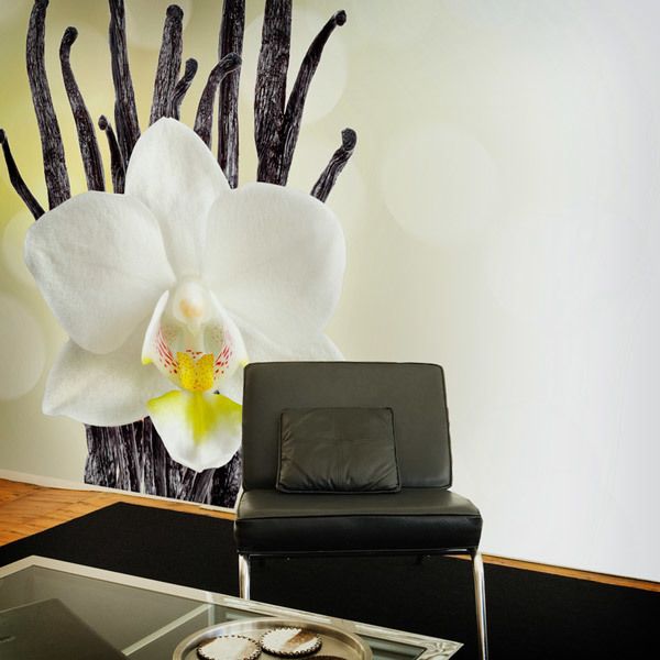 Wall Murals: White Orchid 0