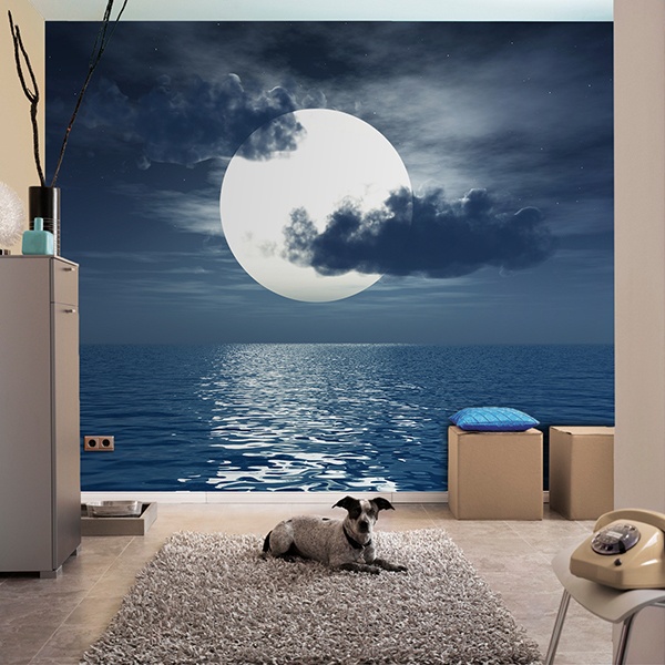 Wall Murals: Moon over the sea 0