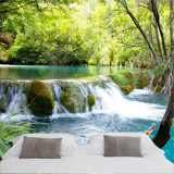 Wall Murals: Vegetation and river with waterfall 4