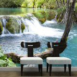 Wall Murals: Vegetation and river with waterfall 5