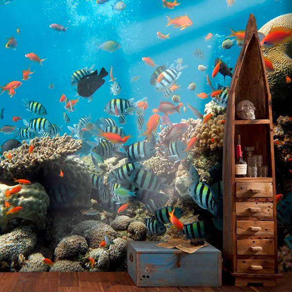 Wall Murals: Reef fish