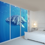 Wall Murals: Whale shark 3