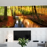 Wall Murals: River in the Aywaille forest 3