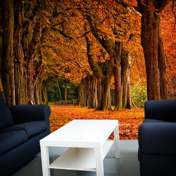 Wall Murals: Park in autumn