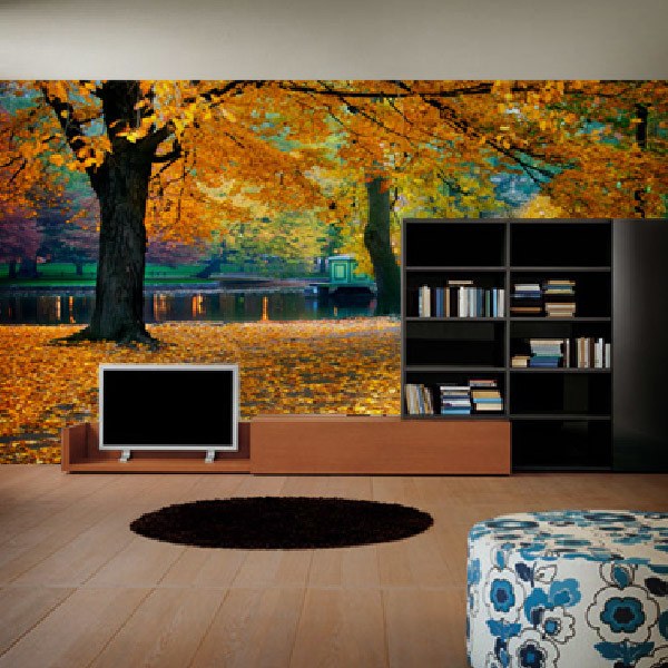 Wall Murals: Next to the park river 0