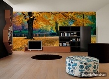 Wall Murals: Next to the park river 2