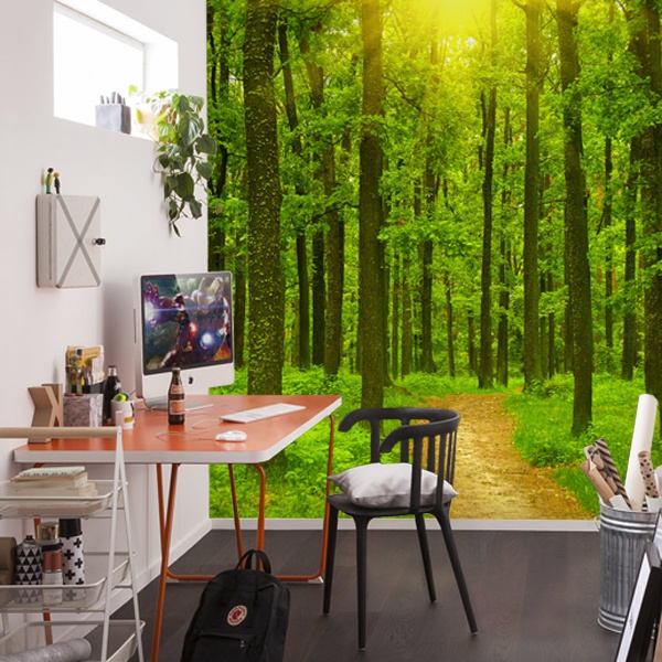 Wall Murals: Sunset in the forest 0