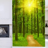 Wall Murals: Sunset in the forest 3