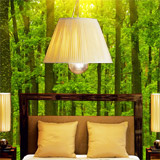 Wall Murals: Sunset in the forest 5