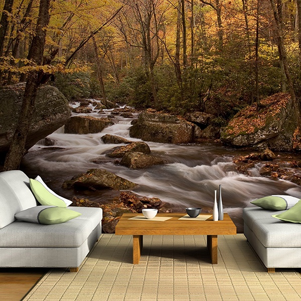 Nature Wall Murals