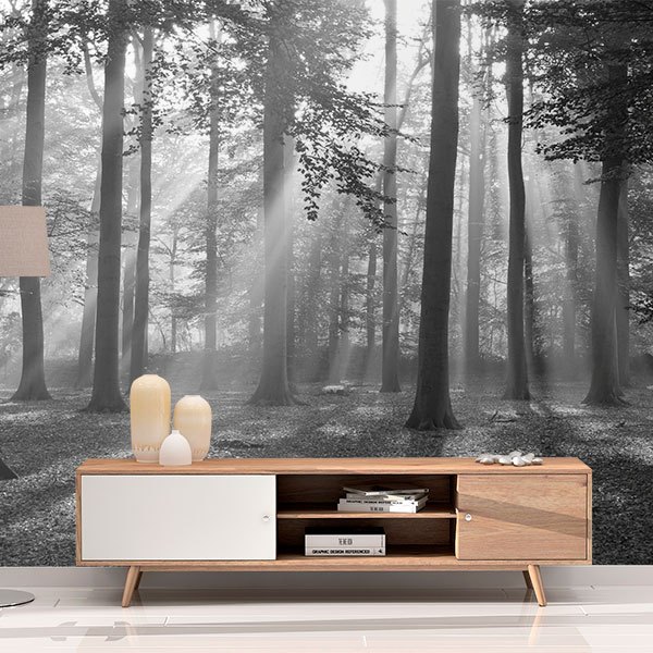 Wall Murals: Forest in black and white 0