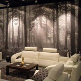 Wall Murals: Forest in black and white 4