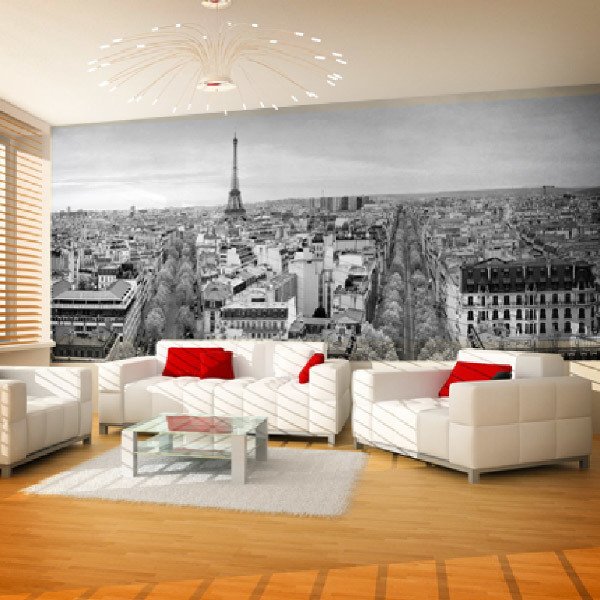 Wall Murals: Panoramic of Paris in black and white