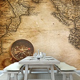 Wall Murals: Explorer map 2