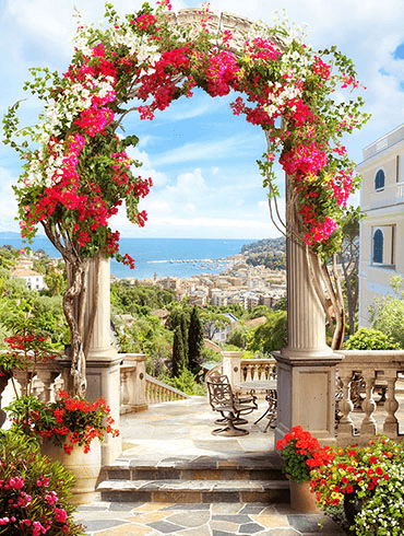 Wall Murals: Floral arch to the coast