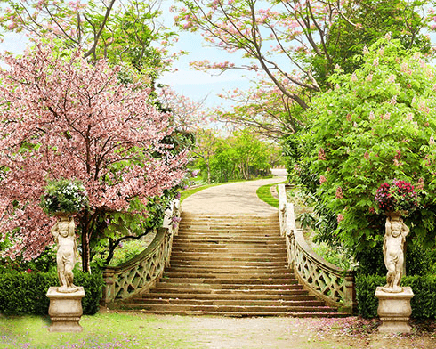 Wall Murals: Stairs in the Great Garden