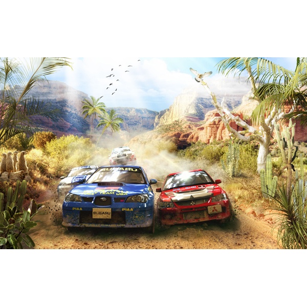 Wall Stickers: Rally Cars