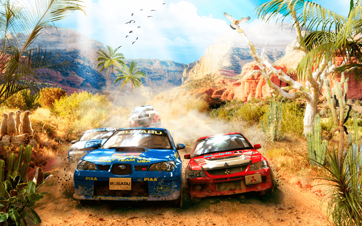 Wall Murals: Rally Cars