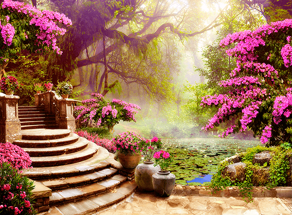 Wall Murals: The water lily garden