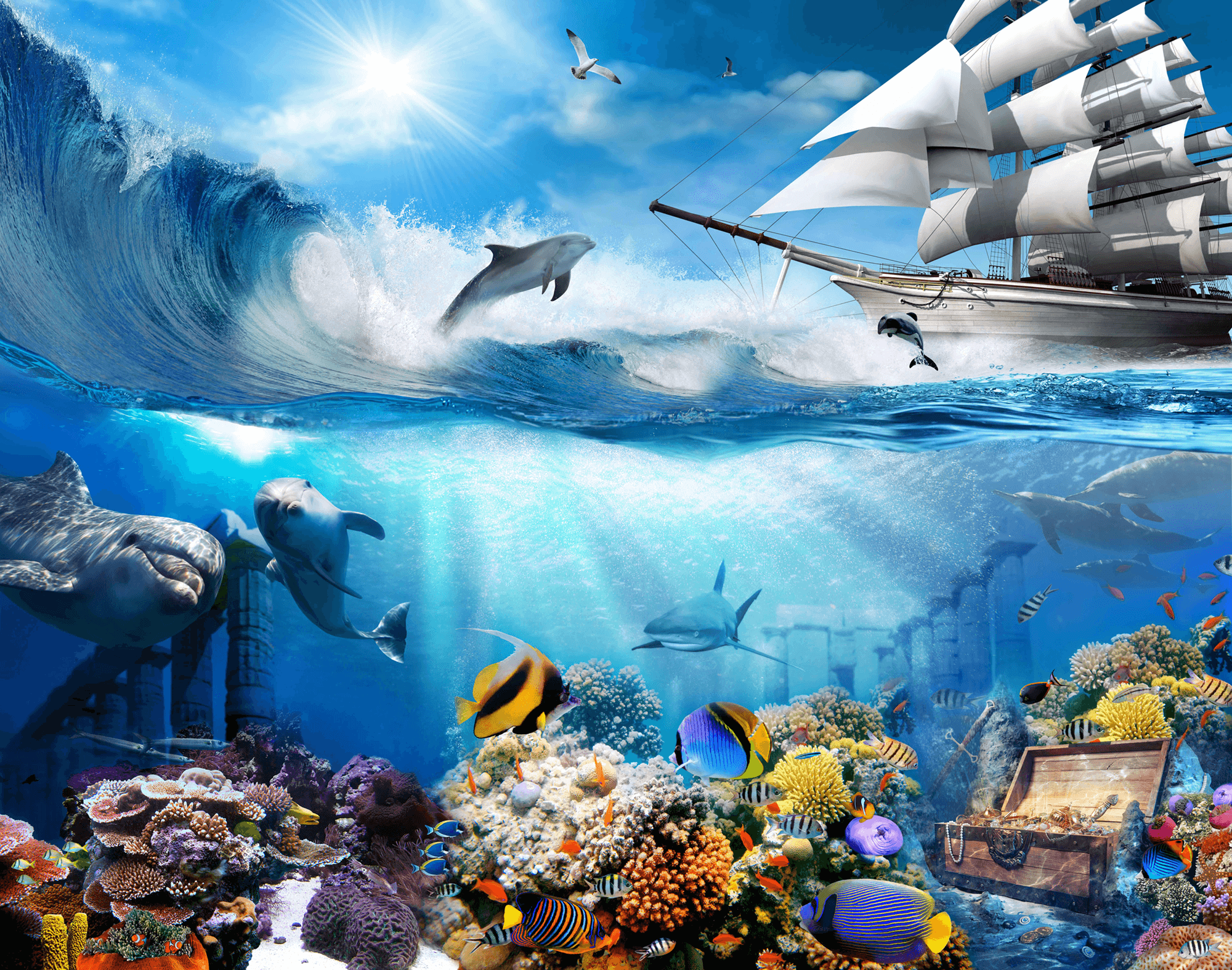 Wall Murals: Dolphin marine background