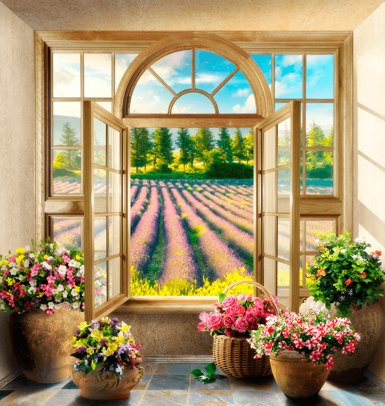 Wall Murals: Window to the Lavender field