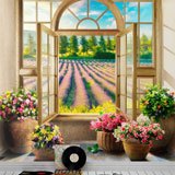Wall Murals: Window to the Lavender field 2