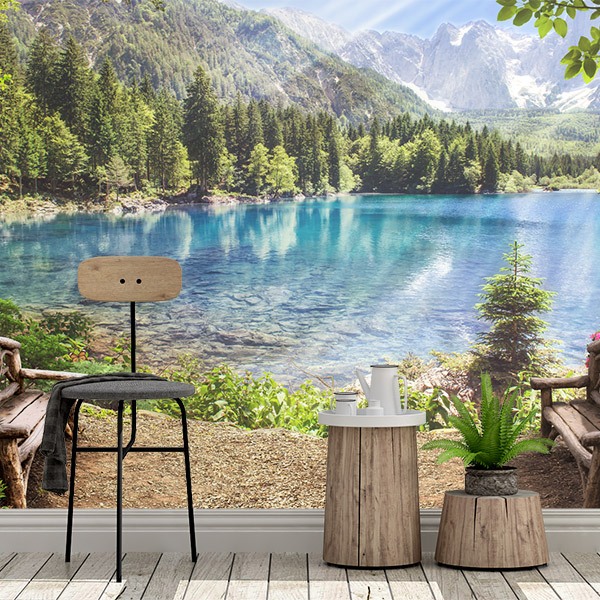 Wall Murals: Benches by the Lake 0