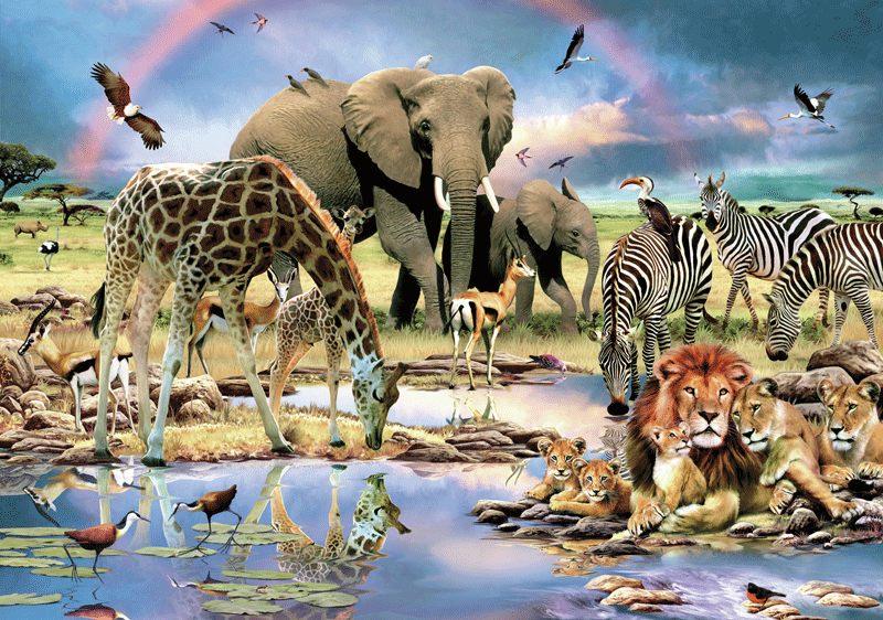Wall Murals: Nature Savannah